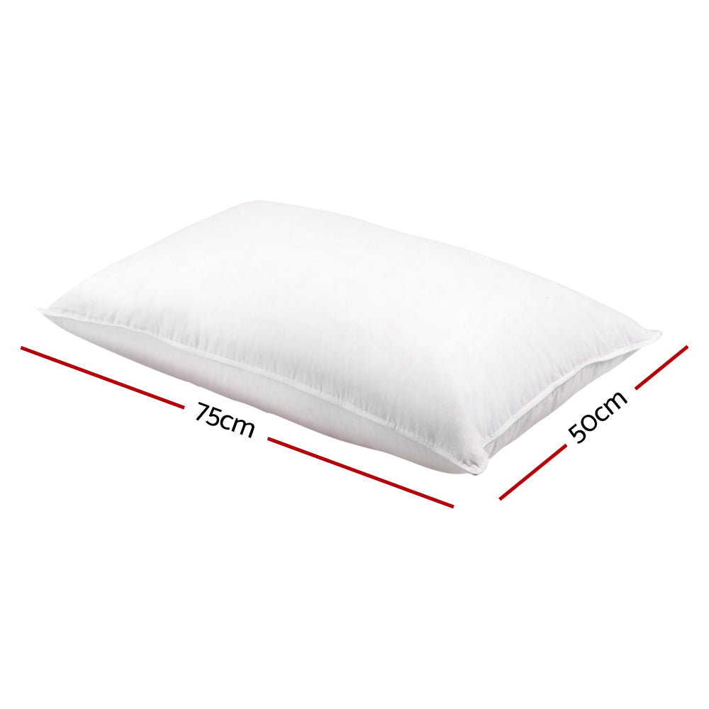 Free Shipping on this set of 2 Goose Feather and Down Pillow - White