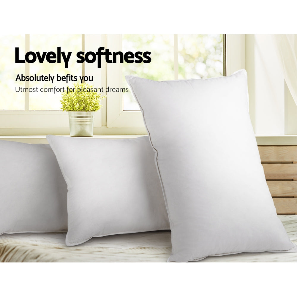 Free Shipping on this set of 2 Goose Feather and Down Pillow - White