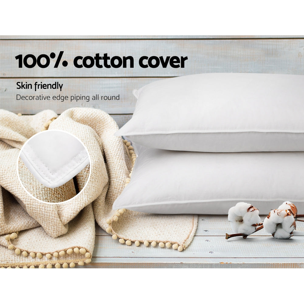Free Shipping on this set of 2 Goose Feather and Down Pillow - White