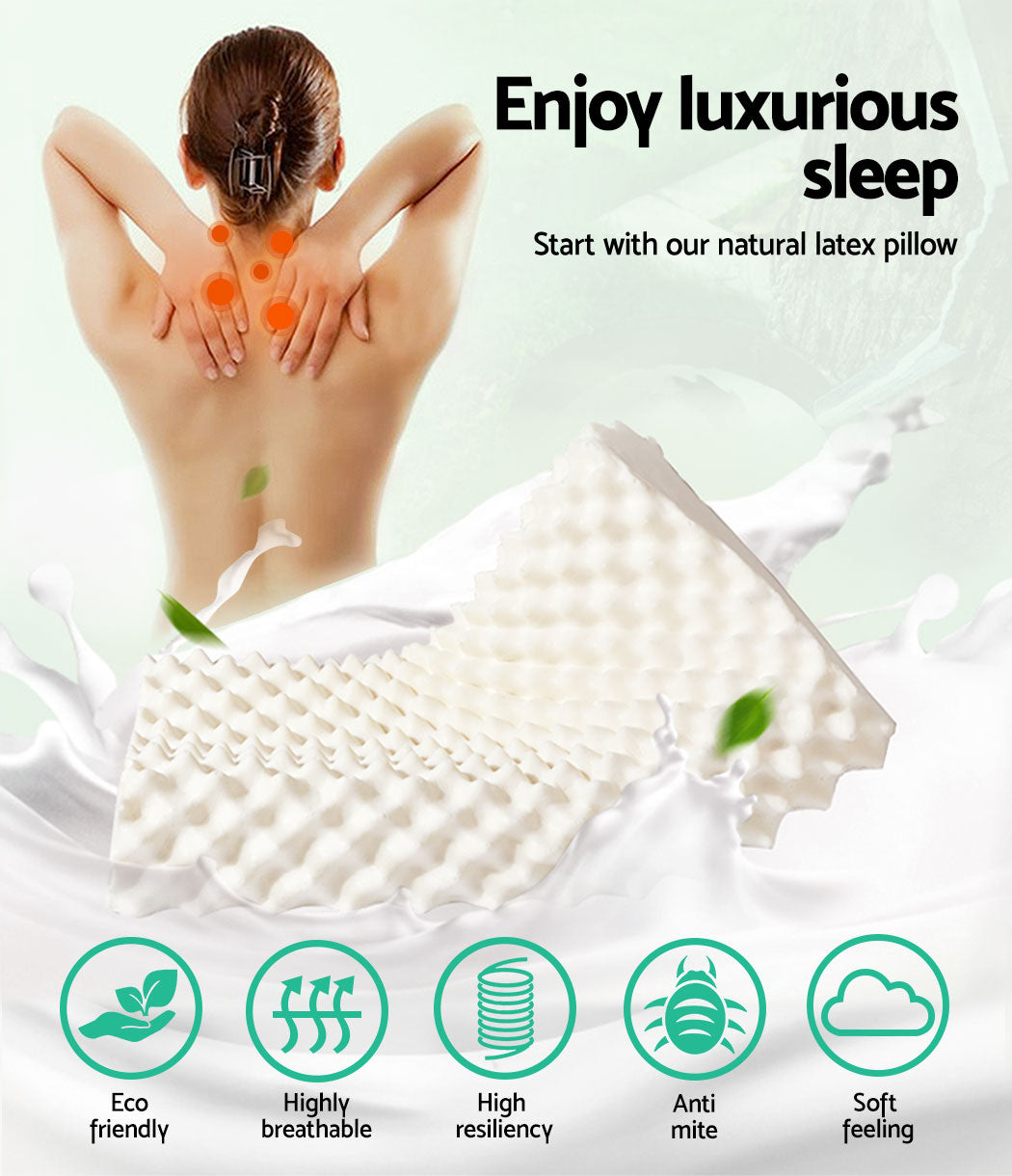 Free Shipping! Set of Two Natural Latex Pillows