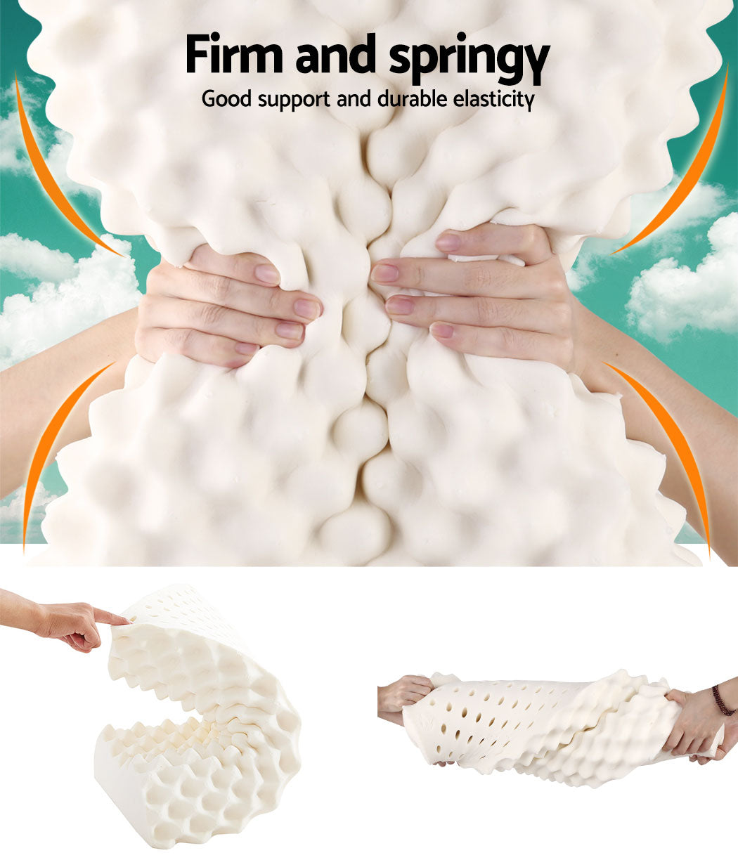 Free Shipping! Set of Two Natural Latex Pillows