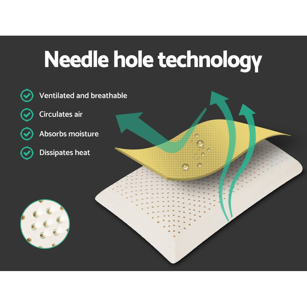 Free Shipping! Set of 2 Natural Latex Pillows