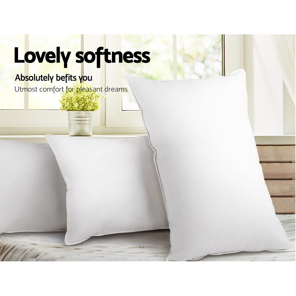 Back In Stock! Set of 4 Medium & Firm Cotton Pillows